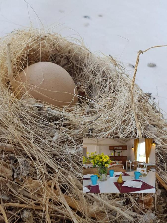 Hotel Valle Del Oja Casalarreina Eksteriør bilde