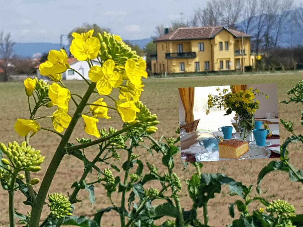 Hotel Valle Del Oja Casalarreina Eksteriør bilde