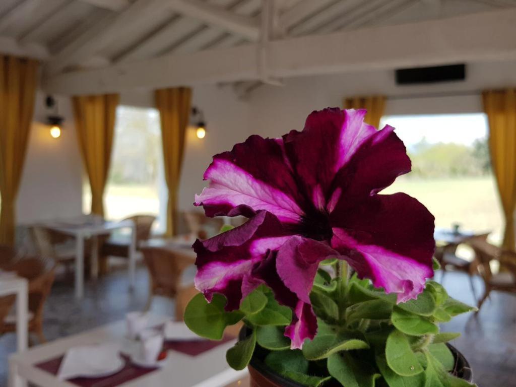 Hotel Valle Del Oja Casalarreina Eksteriør bilde